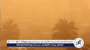 تحذير لـ 7 محافظات.. الأرصاد تكشف تفاصيل أقوى عاصفة ترابية مرتقبة خلال ساعات